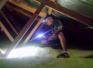 Building and Pest Inspection Sunshine Coast